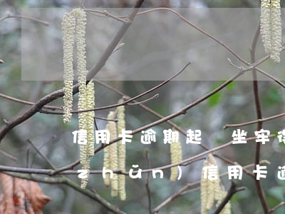信用卡逾期起訴坐牢得標(biāo)準(zhǔn)(信用卡逾期起訴坐牢得標(biāo)準(zhǔn))