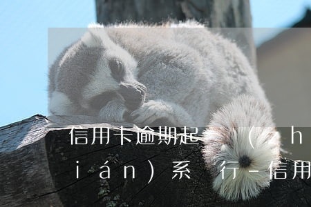信用卡逾期起訴執(zhí)行如何聯(lián)系銀行-信用卡逾期起訴執(zhí)行如何聯(lián)系銀行客服