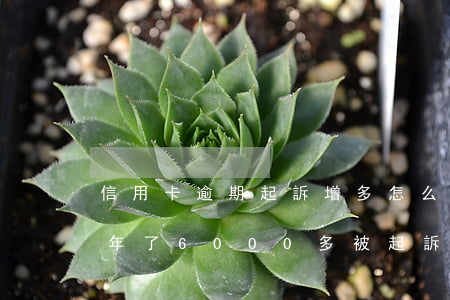 信用卡逾期起訴增多怎么辦(我信用卡逾期一年了6000多被起訴了怎么辦)