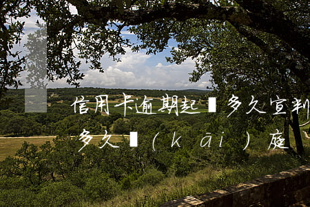 信用卡逾期起訴多久宣判(信用卡逾期被起訴多久開(kāi)庭)