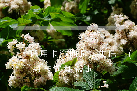 信用卡逾期起訴失信執(zhí)行人(欠信用卡逾期被起訴)