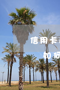 信用卡逾期起訴如何計算金額(信用卡逾期起訴如何計算金額)