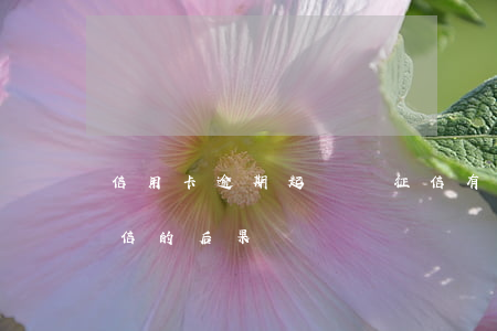 信用卡逾期起訴對征信有影響嗎 逾期影響征信的后果