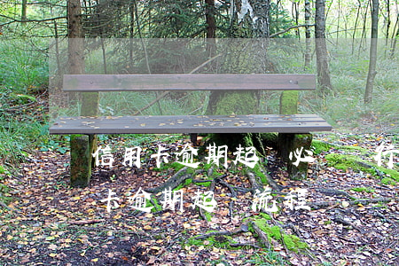 信用卡逾期起訴必須(銀行對(duì)信用卡逾期起訴流程)