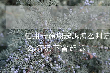 信用卡逾期起訴怎么判定(信用卡逾期一般什么情況下會起訴)