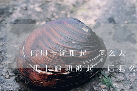 信用卡逾期起訴怎么去調(diào)解(信用卡逾期被起訴后怎么解決)