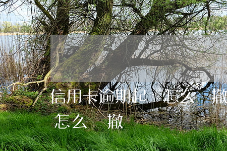 信用卡逾期起訴怎么樣撤訴(信用卡逾期起訴怎么樣撤訴)