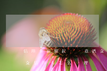 信用卡逾期起訴惡意透支(被銀行起訴惡意透支信用卡怎么處理)