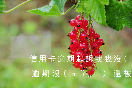 信用卡逾期起訴我我沒(méi)去(信用卡逾期沒(méi)還被起訴了怎么辦)