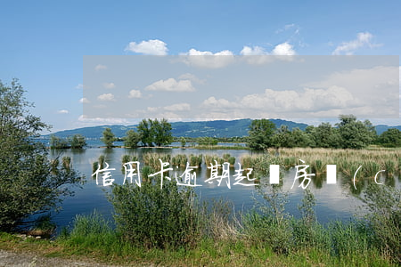 信用卡逾期起訴房產(chǎn)車