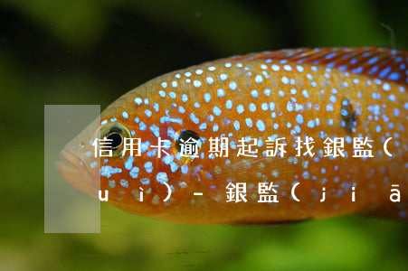 信用卡逾期起訴找銀監(jiān)會(huì)-銀監(jiān)會(huì)關(guān)于信用卡逾期