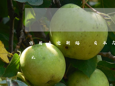 信用卡逾期起訴文本(欠信用卡逾期被起訴怎么辦)