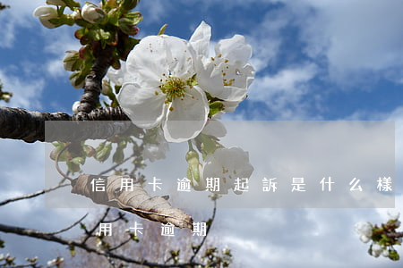 信用卡逾期起訴是什么樣流程(法院怎么判信用卡逾期)
