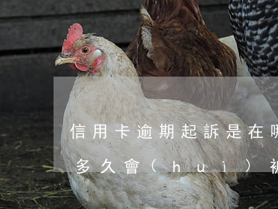 信用卡逾期起訴是在哪里(欠信用卡的錢逾期多久會(huì)被起訴)