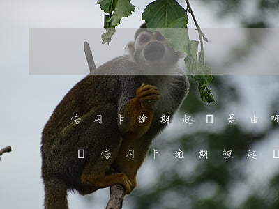 信用卡逾期起訴是由哪個部門起訴(收到短信說信用卡逾期被起訴)
