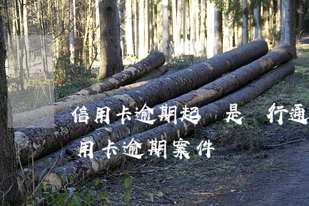 信用卡逾期起訴是銀行通知嗎(法院會受理信用卡逾期案件嗎)