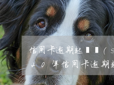 信用卡逾期起訴時(shí)間是幾年(2020年信用卡逾期起訴標(biāo)準(zhǔn))