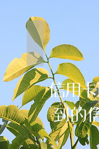 信用卡逾期起訴書(shū)是什么快遞寄到的(信用卡逾期起訴信寄到哪)