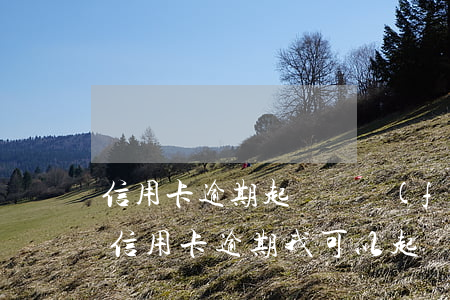 信用卡逾期起訴書發(fā)到哪里(朋友用信用卡逾期,我可以起訴嗎)