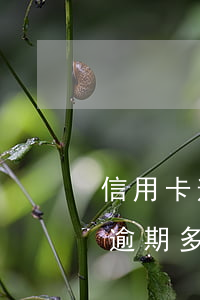 信用卡逾期起訴最多的銀行-欠銀行信用卡逾期多久會被起訴