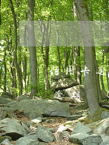 信用卡逾期起訴會(huì)坐牢嗎(信用卡逾期會(huì)坐牢嗎)