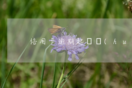 信用卡逾期起訴會(huì)影響出行吧