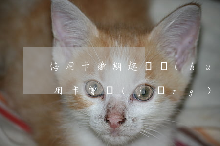 信用卡逾期起訴會(huì)影響家人嗎(信用卡 曾經(jīng)有逾期 影響)
