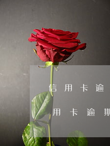 信用卡逾期起訴會(huì)被刑拘嗎(有信用卡逾期被起訴的嗎)