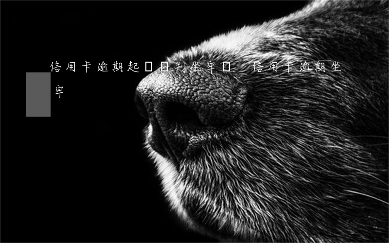 信用卡逾期起訴會判坐牢嗎-信用卡 逾期 坐牢