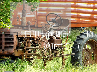 信用卡逾期起訴會拍賣(信用卡逾期起訴會拍賣對象的房產(chǎn)嗎)