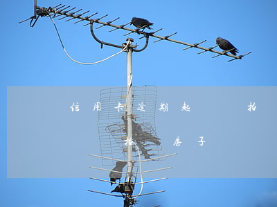 信用卡逾期起訴會拍賣房子嗎(信用卡逾期起訴會拍賣房子嗎)