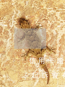 信用卡逾期起訴會有短信通知嗎(信用卡逾期起訴會有短信通知嗎)