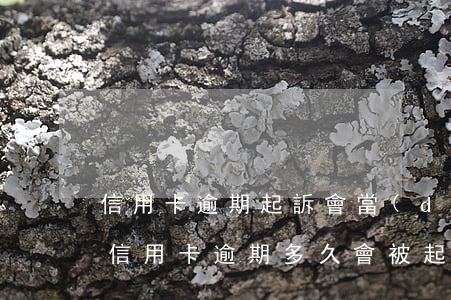 信用卡逾期起訴會當(dāng)庭宣判嗎 “信用卡逾期多久會被起訴”