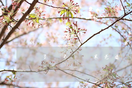 信用卡逾期起訴會連帶妻子嗎(因信用卡被起訴了會不會連累老婆?)