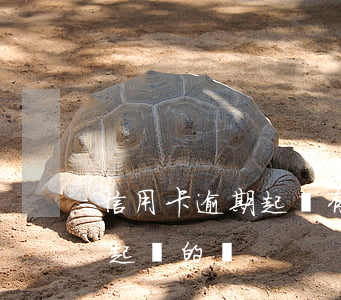信用卡逾期起訴有什么費用(有信用卡逾期被起訴的嗎)