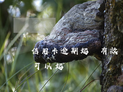 信用卡逾期起訴有效嗎(朋友用信用卡逾期,我可以起訴嗎)