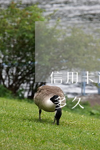 信用卡逾期起訴期限多長-欠信用卡被起訴多久會坐牢