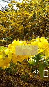信用卡逾期起訴本金多少(信用卡本金欠款多少會(huì)被起訴)