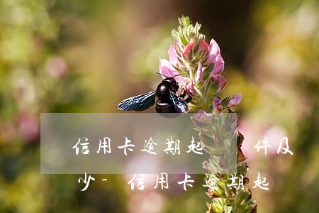 信用卡逾期起訴條件及費(fèi)用是多少-信用卡逾期起訴條件及費(fèi)用是多少錢