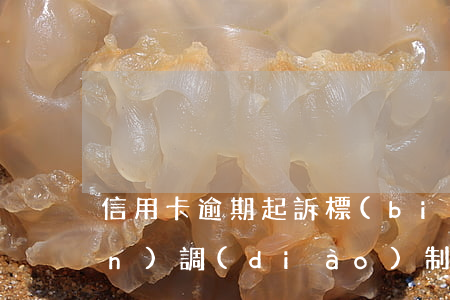 信用卡逾期起訴標(biāo)準(zhǔn)調(diào)制五萬(wàn)(信用卡超過(guò)五萬(wàn)逾期銀行多久會(huì)起訴)
