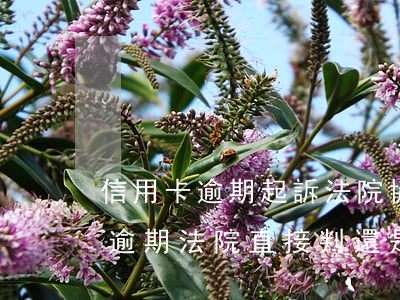 信用卡逾期起訴法院協(xié)商(信用卡逾期法院直接判,還是能在法院協(xié)商)