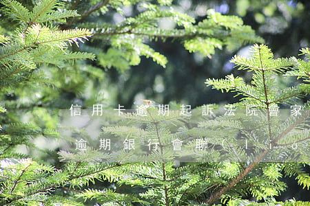 信用卡逾期起訴法院會家訪嗎(好幾家信用卡逾期銀行會聯(lián)合起訴嗎)