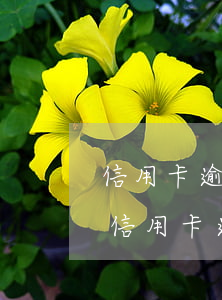 信用卡逾期起訴法院民事訴訟-法院會受理信用卡逾期案件嗎