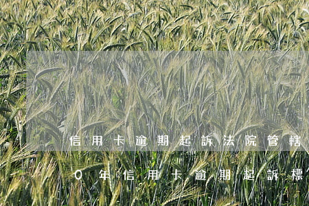 信用卡逾期起訴法院管轄地是哪里-2020年信用卡逾期起訴標準