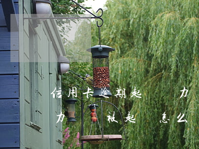 信用卡逾期起訴無力償還怎么辦(欠信用卡無力償還被起訴怎么辦?)