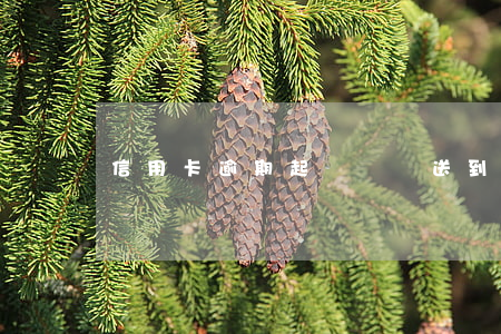 信用卡逾期起訴狀會送到哪里