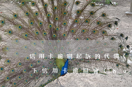 信用卡逾期起訴的代價(jià)(什么情況下信用卡逾期會(huì)被起訴)