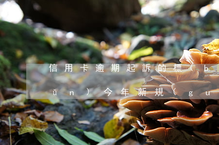 信用卡逾期起訴的標(biāo)準(zhǔn)(今年新規(guī)定信用卡逾期多久會(huì)起訴)