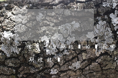 信用卡逾期起訴的話在哪里(怎么查信用卡逾期被起訴)