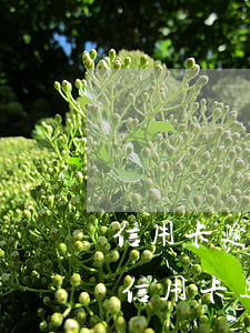 信用卡逾期起訴的責(zé)任大嗎怎么辦（信用卡逾期起訴的責(zé)任大嗎）